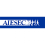 hsg:aiesec_logo.png